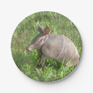 Adorable Baby Armadillo Paper Plate
