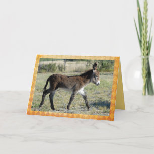 Adorable baby burro congratulations card. card