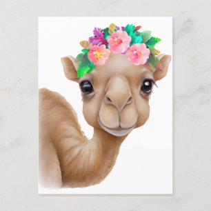Adorable Baby Camel Postcard