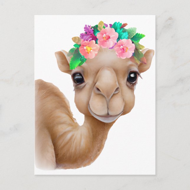 Adorable Baby Camel Postcard (Front)
