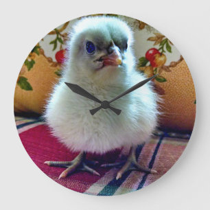 Adorable Baby Chick Wall Clock