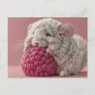 Adorable Baby Chinchilla Hugging a Giant Raspberry Postcard