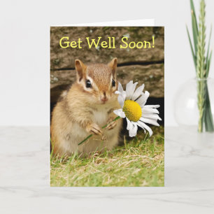Adorable Baby Chipmunk with Daisy - Get Well Soon! Card
