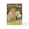 Adorable Baby Chipmunk with Daisy - Happy Birthday