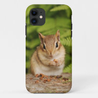 Adorable Baby Chipmunk with Snack