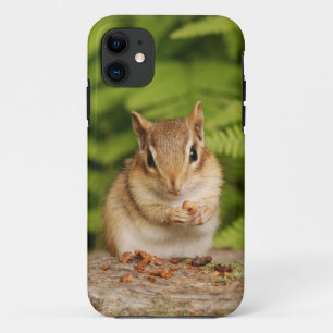 Adorable Baby Chipmunk with Snack iPhone 11 Case