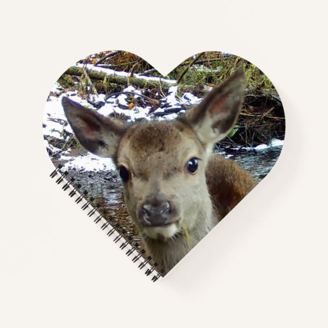 Adorable Baby Deer Woodland Fawn Writing Journal  (Front)