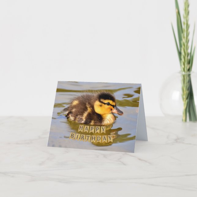 Adorable Baby Duckling in the Pond Happy Birthday Card (Front)