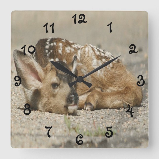 Adorable Baby Fawn Square Wall Clock (Front)