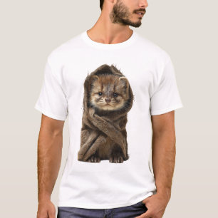 Adorable Baby Ferret Wrapped in a Brown Knitted T-Shirt