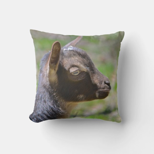 Adorable Baby Goat Cushion (Front)