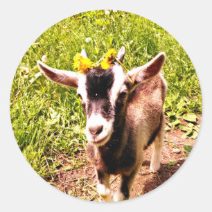 Adorable Baby Goat with Flowers Sheet of Stickers