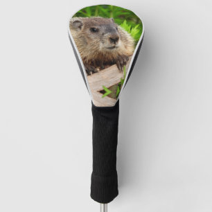 Adorable baby Groundhog / woodchuck Up Close Golf Head Cover