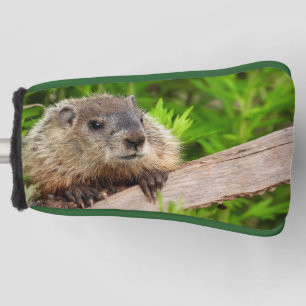 Adorable baby Groundhog / woodchuck Up Close Golf Head Cover
