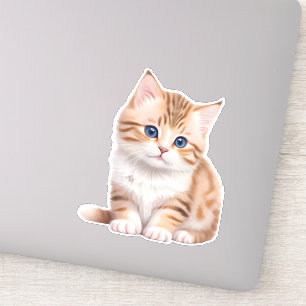 Adorable Baby Kitten Cute Feline