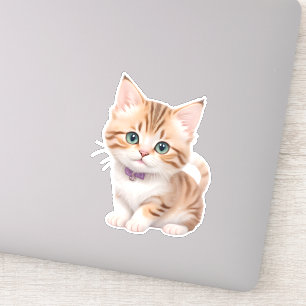 Adorable Baby Kitten Design 