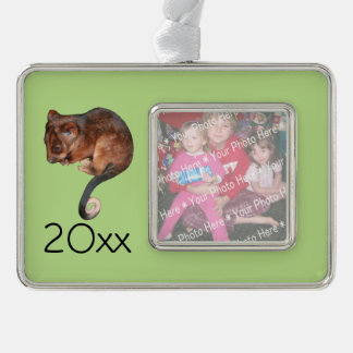 Adorable Baby Ringtail Possum in Australia Silver Plated Framed Ornament