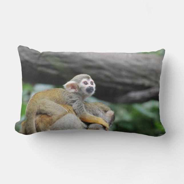 Adorable Baby Squirrel Monkey Lumbar Cushion (Front)