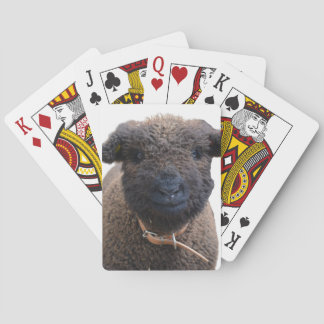 Adorable Babydoll Southdown Sheep Playing Cards