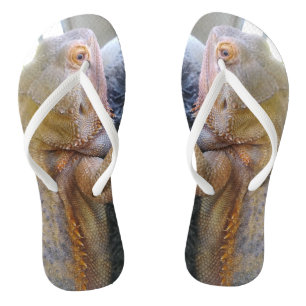 Adorable Bearded Dragon Photo Print Jandals