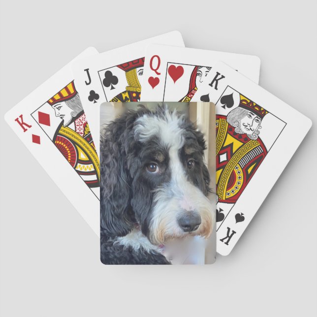 Adorable Bernedoodle Playing Cards (Back)