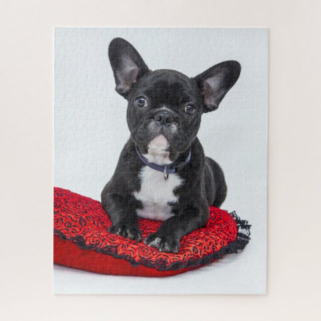 Adorable Black and White Bulldog Puppy Photo Jigsaw Puzzle (Vertical)