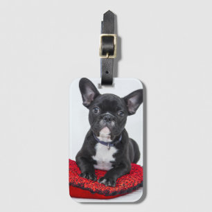 Adorable Black and White Bulldog Puppy Photo Luggage Tag