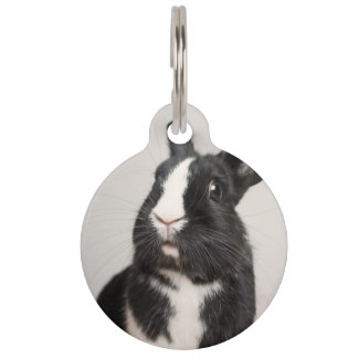 Adorable Black and White Bunny Rabbit Pet Tag