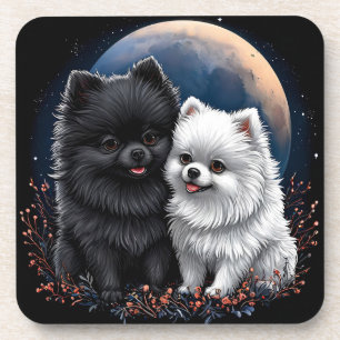 Adorable Black and White Pomeranian Puppies Coaster