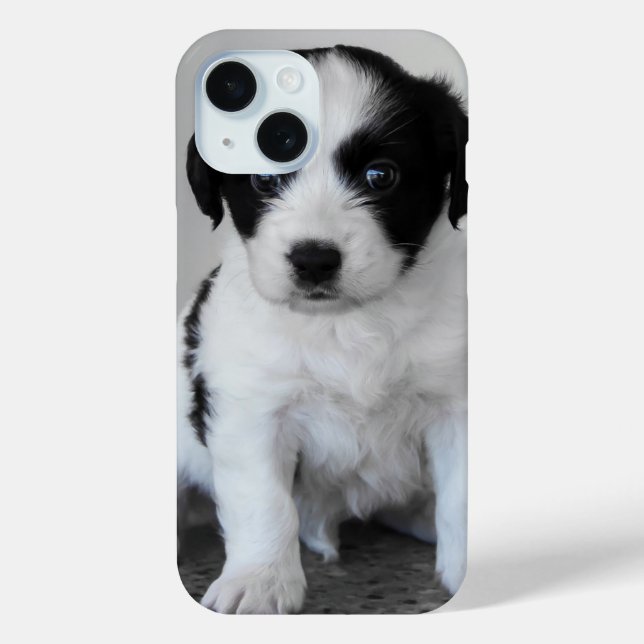 Adorable Black and White Puppy Case-Mate iPhone Case (Back)