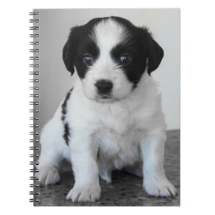 Adorable Black and White Puppy Notebook