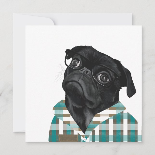 Adorable Black Pug With Glasses and Shirt (Front)