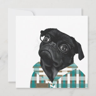 Adorable Black Pug With Glasses and Shirt