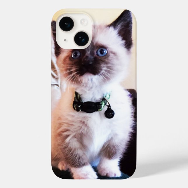 Adorable Blue Eyed Masked Kitten Photograph Case-Mate iPhone Case (Back)