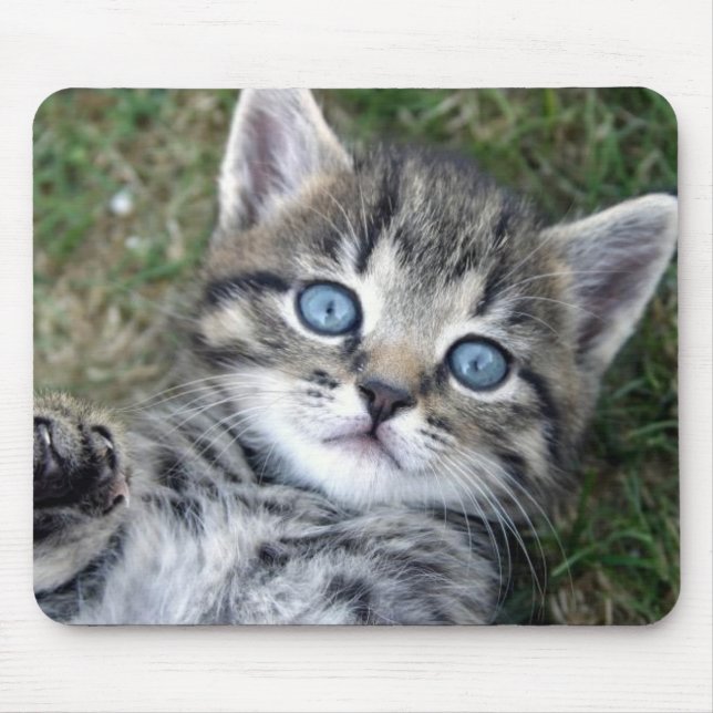 Adorable Blue-Eyed Silver Tabby Kitten Mousepad (Front)
