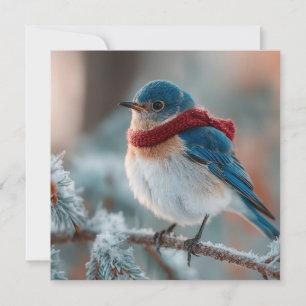 Adorable Bluebird in a Scarf Holiday Card