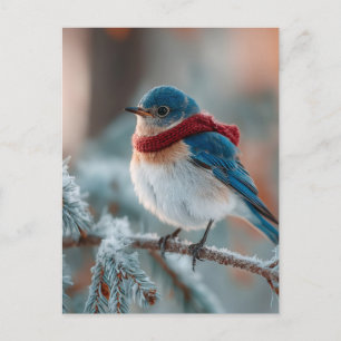 Adorable Bluebird in a Scarf Holiday Postcard
