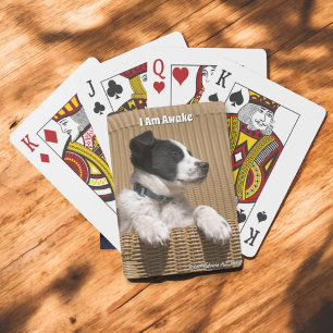 Adorable Border Collie Heeler Sleepy Puppy Playing Cards