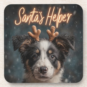 Adorable Border Collie Puppy as Santa's Helper Coaster