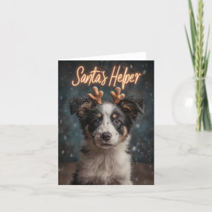 Adorable Border Collie Puppy as Santa's Helper Holiday Card