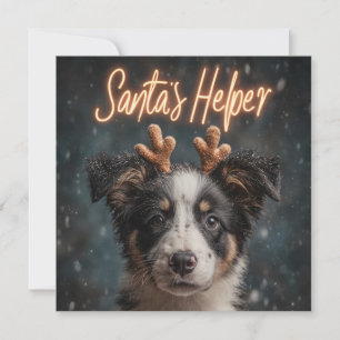 Adorable Border Collie Puppy as Santa's Helper Holiday Card