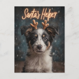 Adorable Border Collie Puppy as Santa's Helper Holiday Postcard
