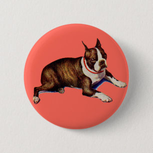adorable Boston terrier 6 Cm Round Badge