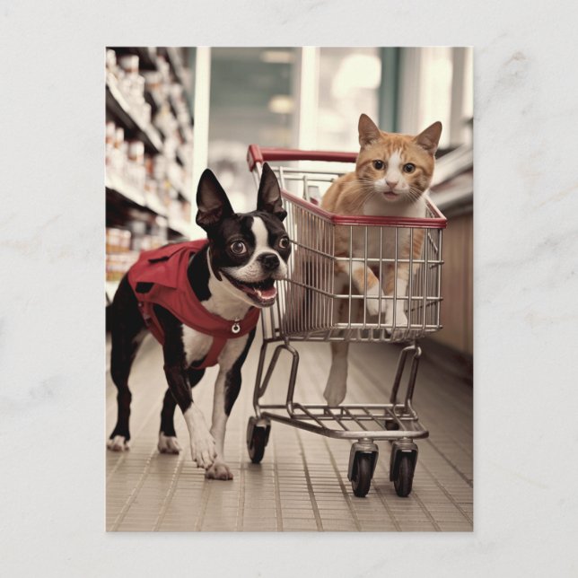 Adorable Boston Terrier and a Ginger Cat Shopping Postcard (Front)