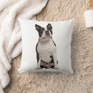 Adorable Boston Terrier Black White Puppy Dog Cushion