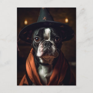 Adorable Boston Terrier Halloween Postcard