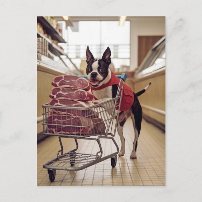 Adorable Boston Terrier Shopping For Meat Postcard (Front)