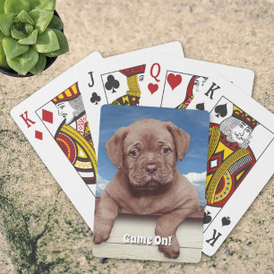 Adorable Brown Puppy Dog Photograph Playing Cards