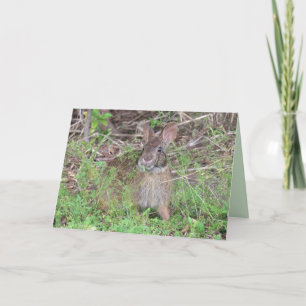 Adorable Bunny Rabbit Greeting Card