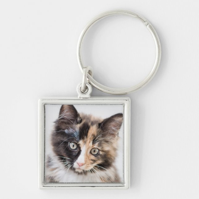 Adorable Calico Kitten Key Ring (Front)